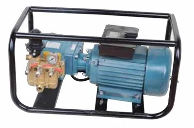 Pompa tłokowa bezpośredniego działania do opryskiwacza elektrycznego